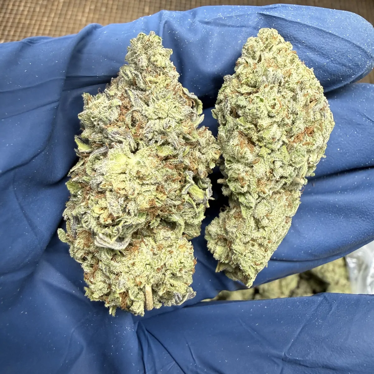 Oreoz Flower